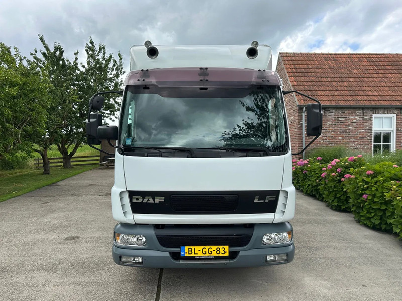 DAF LF 45.170 / EURO 3 / NL TRUCK / VERKOOPOBOUW / VERKAUFSAUFBAU - Skříňový nákladní auto: obrázok 3 DAF LF 45.170 / EURO 3 / NL TRUCK / VERKOOPOBOUW / VERKAUFSAUFBAU - Skříňový nákladní auto: obrázok 3