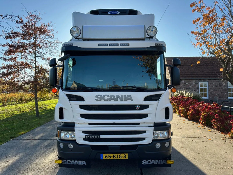 Scania P280 / NL TRUCK / EURO 6 / FULL AIR / CARRIER SUPRA 1250 / TOPCONDITION / LIFT+DOORS - Chladirenské nákladné vozidlo: obrázok 2 Scania P280 / NL TRUCK / EURO 6 / FULL AIR / CARRIER SUPRA 1250 / TOPCONDITION / LIFT+DOORS - Chladirenské nákladné vozidlo: obrázok 2