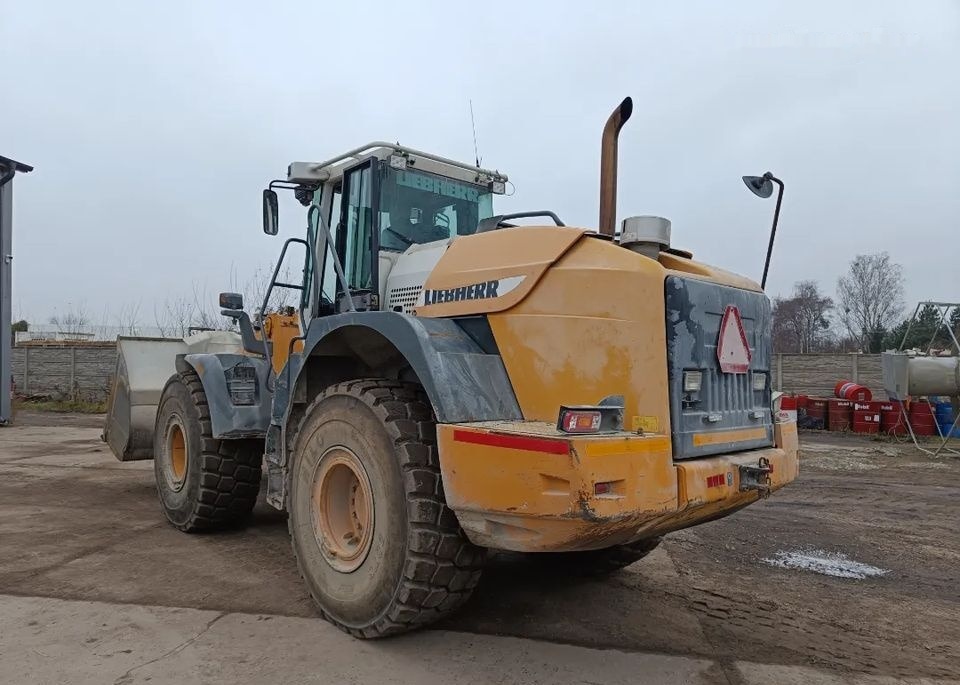 Liebherr L544 2 plus 2 - Kolesový nakladač: obrázok 1 Liebherr L544 2 plus 2 - Kolesový nakladač: obrázok 1