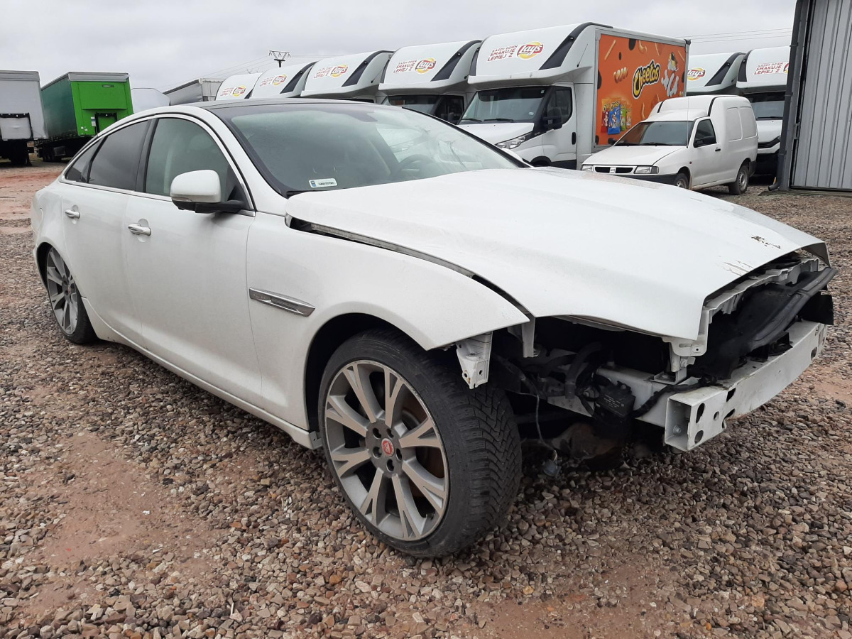 JAGUAR XJ SEDAN - Sedan: obrázok 1 JAGUAR XJ SEDAN - Sedan: obrázok 1