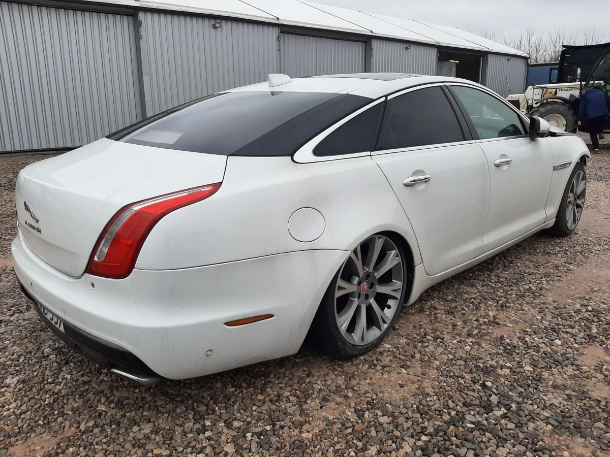JAGUAR XJ SEDAN - Sedan: obrázok 4 JAGUAR XJ SEDAN - Sedan: obrázok 4