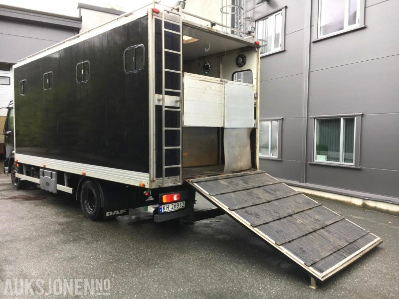 2004 DAF LF 45.220 - Hestebil / Transportbil, 202552km - Komunálne/ Špeciálne stroje: obrázok 2 2004 DAF LF 45.220 - Hestebil / Transportbil, 202552km - Komunálne/ Špeciálne stroje: obrázok 2