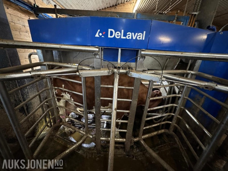 2013 DeLaval VMS melkerobot med 1 kraftfôrstasjon FSC40 - Høyre utgave - Steam - Innredning og grinder foran - Vakuumpumpe - Fortsatt i daglig drift - Poľnohospodárske stroje: obrázok 5 2013 DeLaval VMS melkerobot med 1 kraftfôrstasjon FSC40 - Høyre utgave - Steam - Innredning og grinder foran - Vakuumpumpe - Fortsatt i daglig drift - Poľnohospodárske stroje: obrázok 5