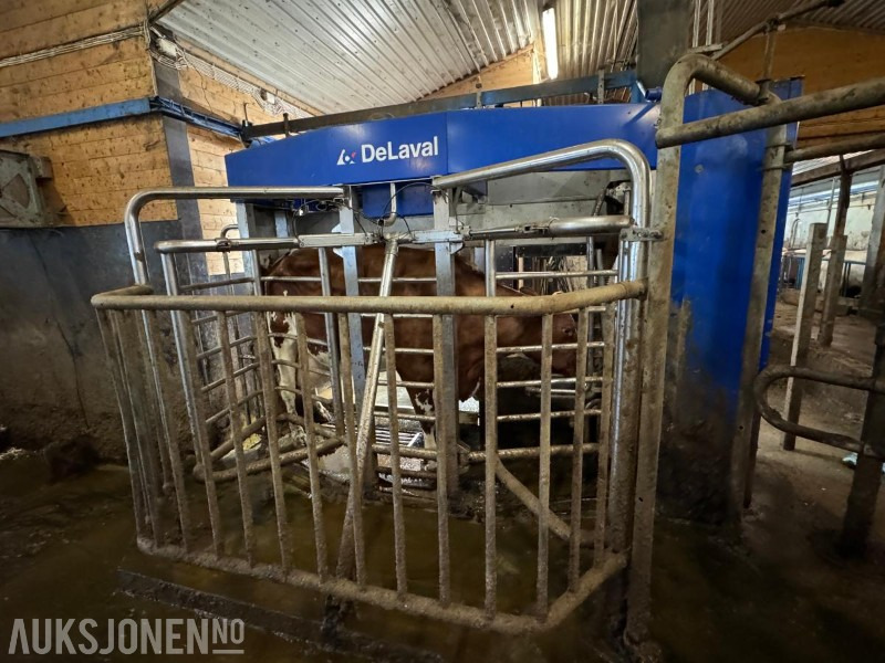 2013 DeLaval VMS melkerobot med 1 kraftfôrstasjon FSC40 - Høyre utgave - Steam - Innredning og grinder foran - Vakuumpumpe - Fortsatt i daglig drift - Poľnohospodárske stroje: obrázok 4 2013 DeLaval VMS melkerobot med 1 kraftfôrstasjon FSC40 - Høyre utgave - Steam - Innredning og grinder foran - Vakuumpumpe - Fortsatt i daglig drift - Poľnohospodárske stroje: obrázok 4