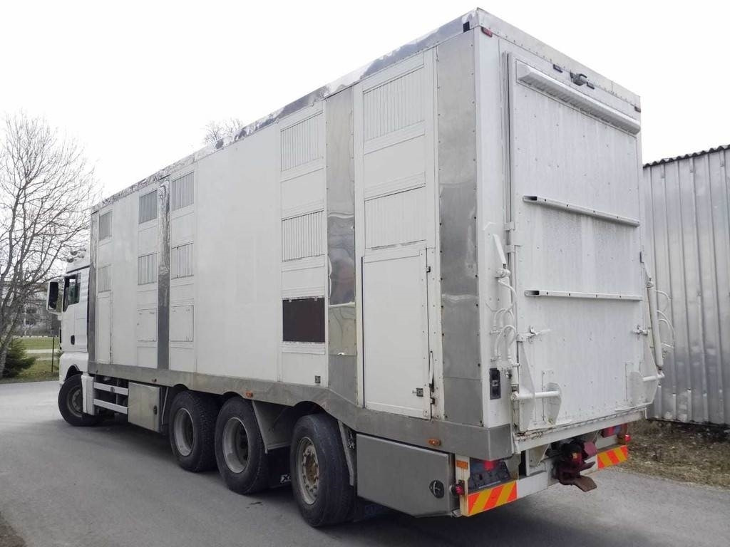 MAN TGX 35.540 8X4 TRIDEM ANIMAL - Přepravník zvířat: obrázok 2 MAN TGX 35.540 8X4 TRIDEM ANIMAL - Přepravník zvířat: obrázok 2