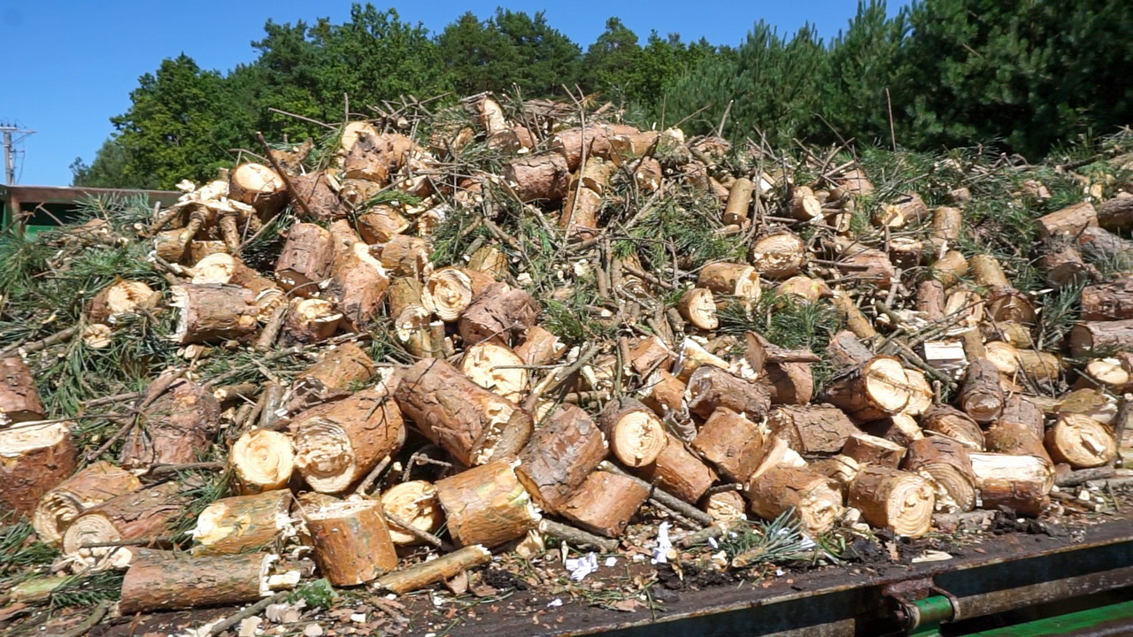 REMET RĘBAK WOM MODEL R-120 + TAŚMOCIĄG 2,3M - Drtič konárov: obrázok 3 REMET RĘBAK WOM MODEL R-120 + TAŚMOCIĄG 2,3M - Drtič konárov: obrázok 3