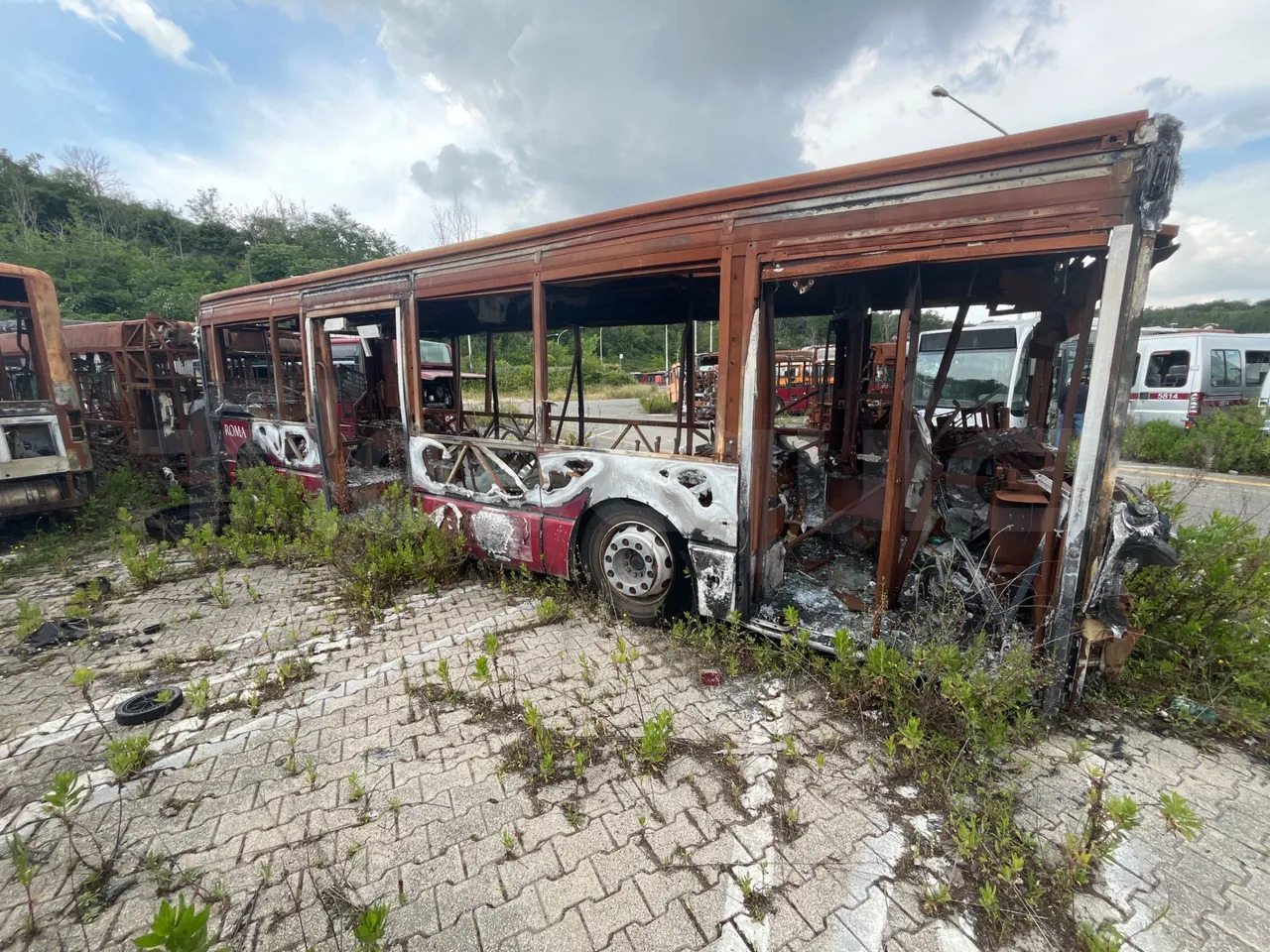 Bundle di 7 mezzi Iveco - Citelis Iveco - Citelis Iveco - Citelis Iveco - Citelis Iveco - Citelis Iveco - Citelis Iveco - Citelis - Mestský autobus: obrázok 3 Bundle di 7 mezzi Iveco - Citelis Iveco - Citelis Iveco - Citelis Iveco - Citelis Iveco - Citelis Iveco - Citelis Iveco - Citelis - Mestský autobus: obrázok 3