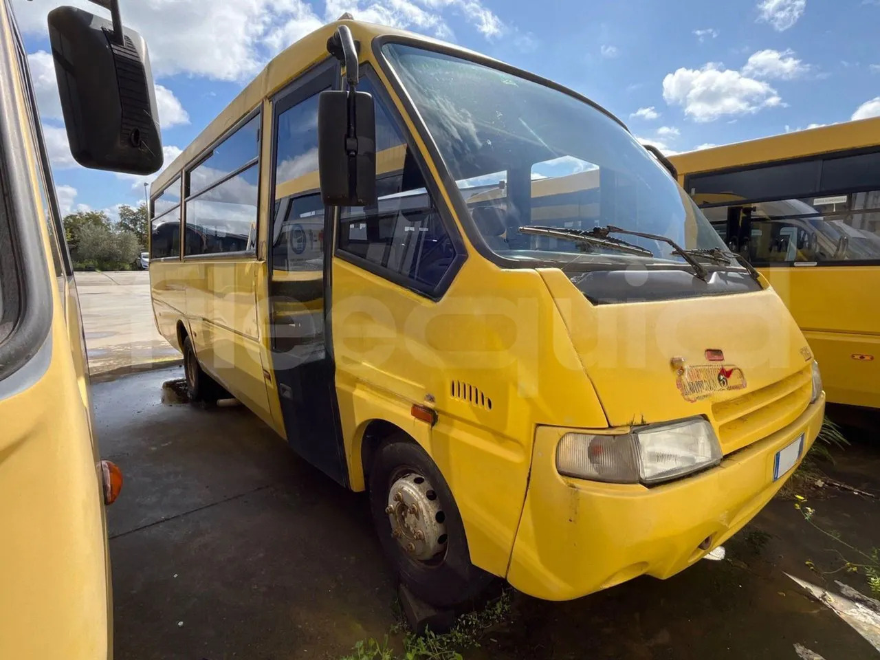 Iveco Cacciamali - Školský autobus: obrázok 2 Iveco Cacciamali - Školský autobus: obrázok 2