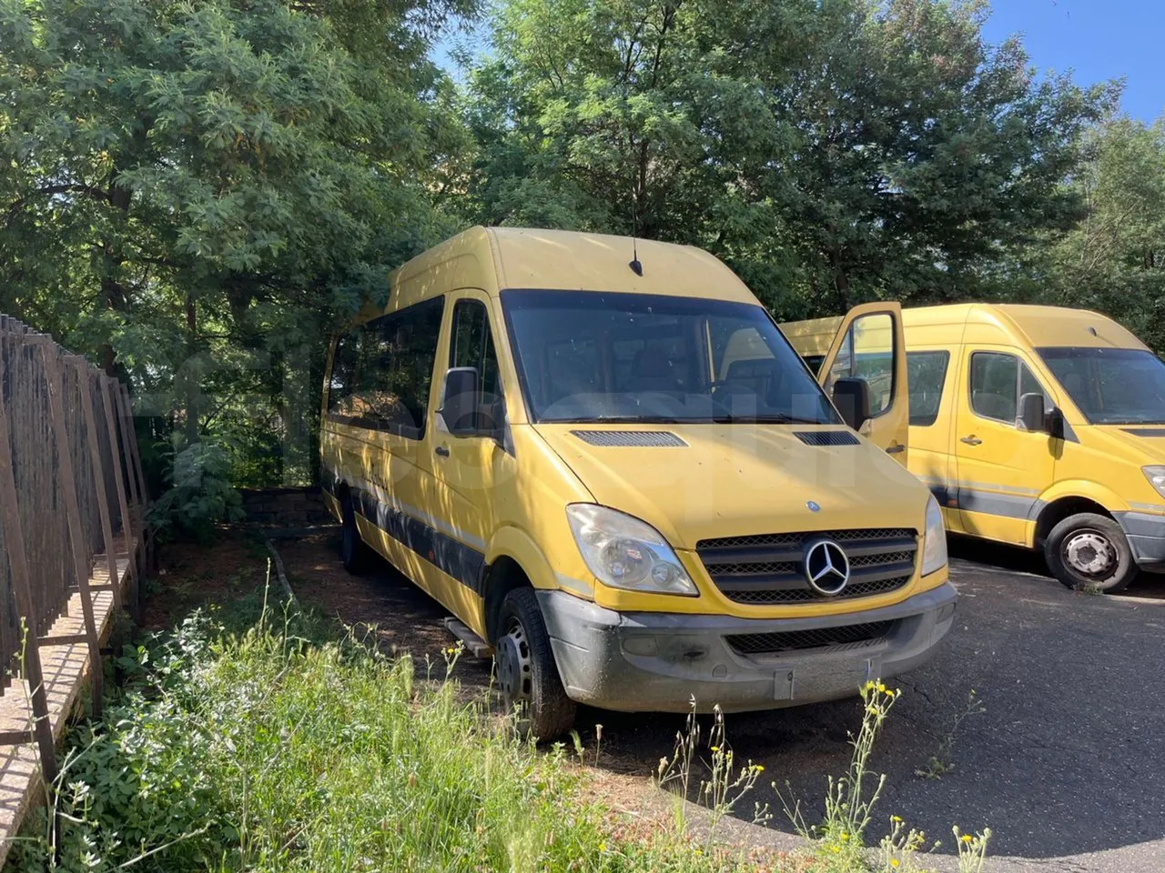 Mercedes-Benz Sprinter - Školský autobus: obrázok 1 Mercedes-Benz Sprinter - Školský autobus: obrázok 1