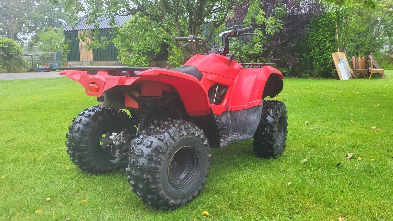 Yamaha Grizzly 300 - ATV/ Štvorkolka: obrázok 4 Yamaha Grizzly 300 - ATV/ Štvorkolka: obrázok 4