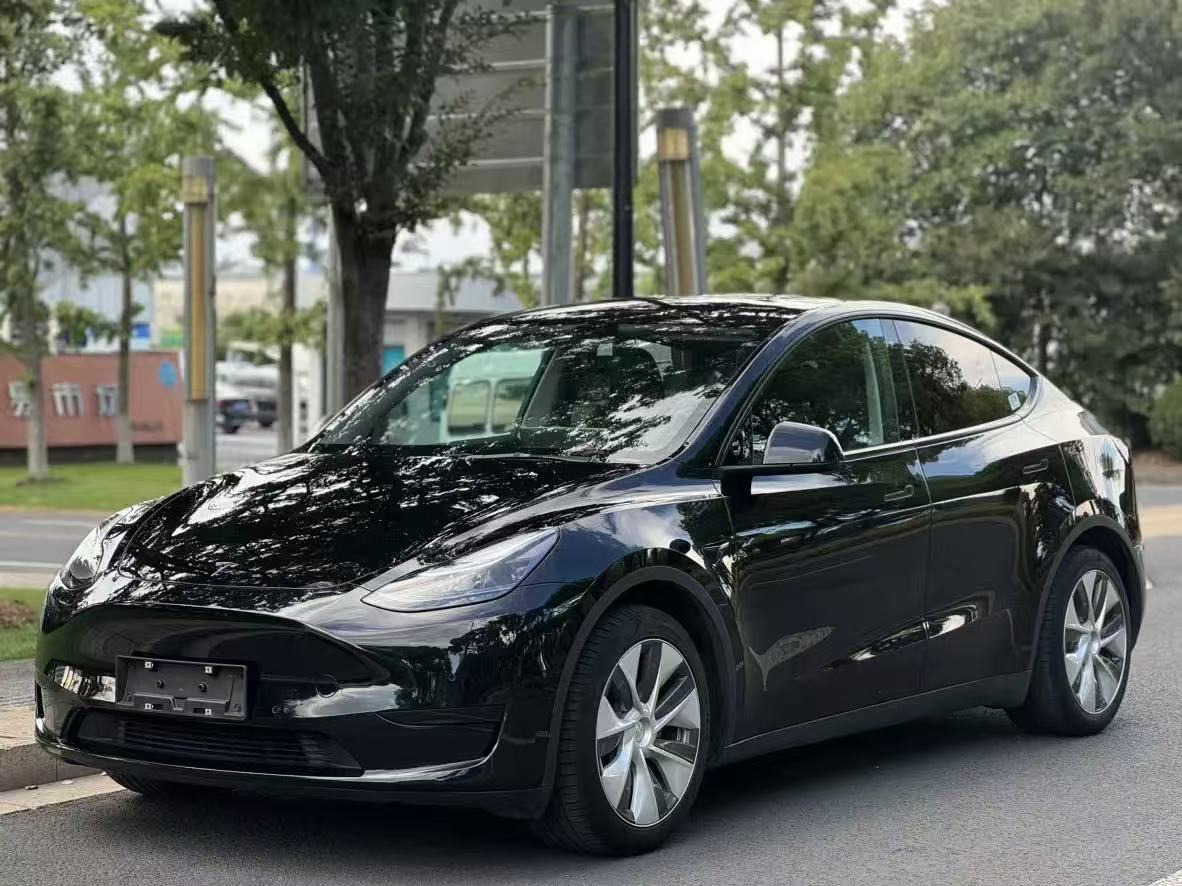 TESLA MODEL Y - Automobil: obrázok 1 TESLA MODEL Y - Automobil: obrázok 1
