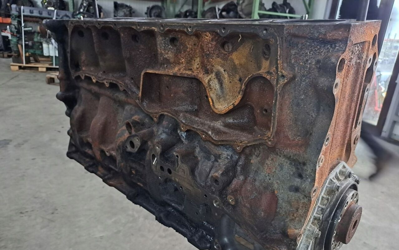 RENAULT BLOK SILNIKA SŁUPEK WAŁ RENAULT PREMIUM DXI 11 440 - Blok valcov pre Nákladné auto: obrázok 2 RENAULT BLOK SILNIKA SŁUPEK WAŁ RENAULT PREMIUM DXI 11 440 - Blok valcov pre Nákladné auto: obrázok 2