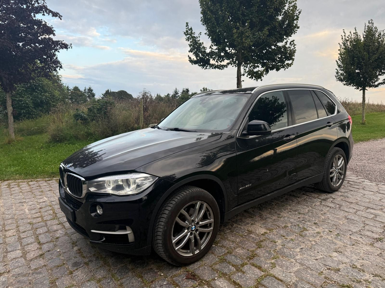 BMW X5 Baureihe X5 xDrive 30 d *21 000€ netto - SUV: obrázok 4 BMW X5 Baureihe X5 xDrive 30 d *21 000€ netto - SUV: obrázok 4