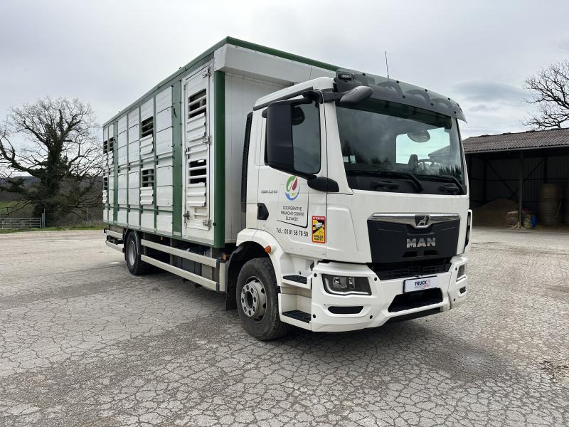 MAN TGM 15.290 - Přepravník zvířat: obrázok 2 MAN TGM 15.290 - Přepravník zvířat: obrázok 2