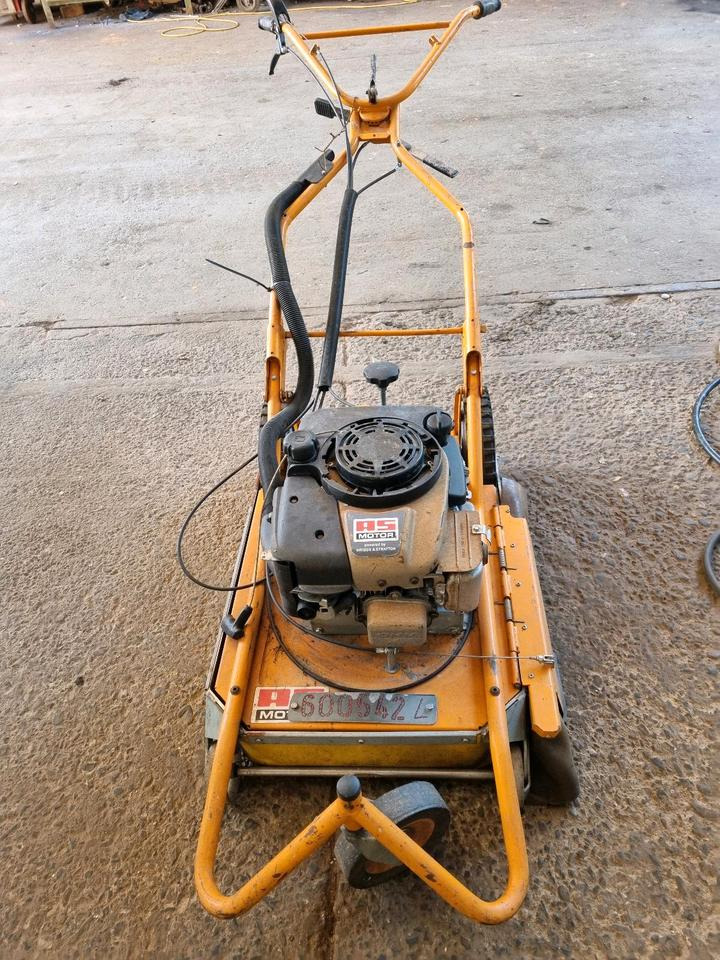 AS 50 Wildkraut-Hex Wildkrautbürste Unkrautentferner AS Mäher - Záhradná kosačka: obrázok 2 AS 50 Wildkraut-Hex Wildkrautbürste Unkrautentferner AS Mäher - Záhradná kosačka: obrázok 2