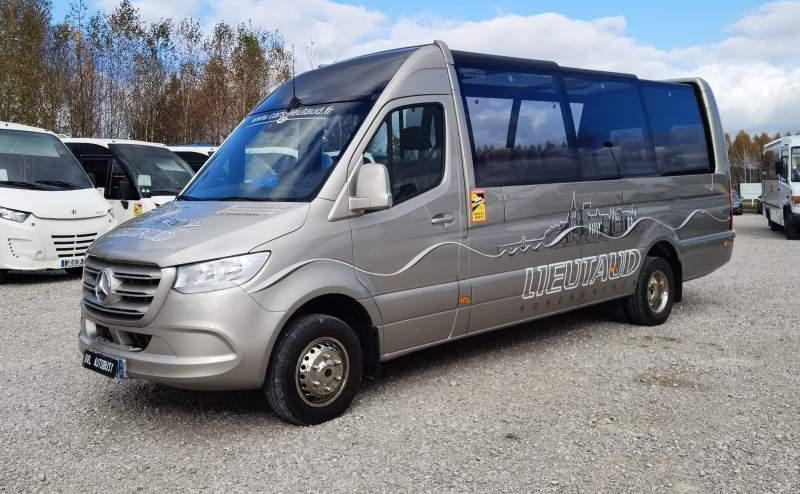 Autokar Mercedes-Benz Sprinter 519 3.0 CDI V6 *CABRIO*2x klima*40tys km: obrázok 8