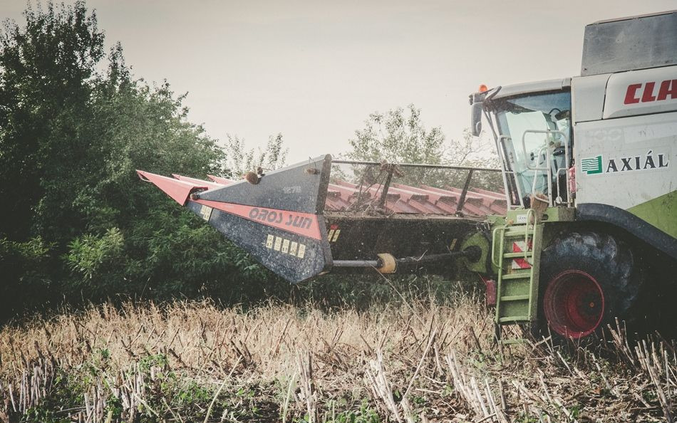 Nový Slnečnicový adaptér Oros SUN 1276 12 rzędowy, Nowe przystawki do Zbioru Słonecznika: obrázok 12