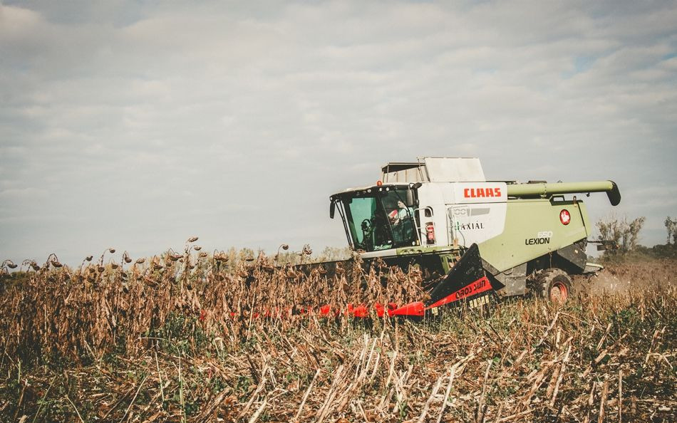 Nový Slnečnicový adaptér Oros SUN 1276 12 rzędowy, Nowe przystawki do Zbioru Słonecznika: obrázok 13