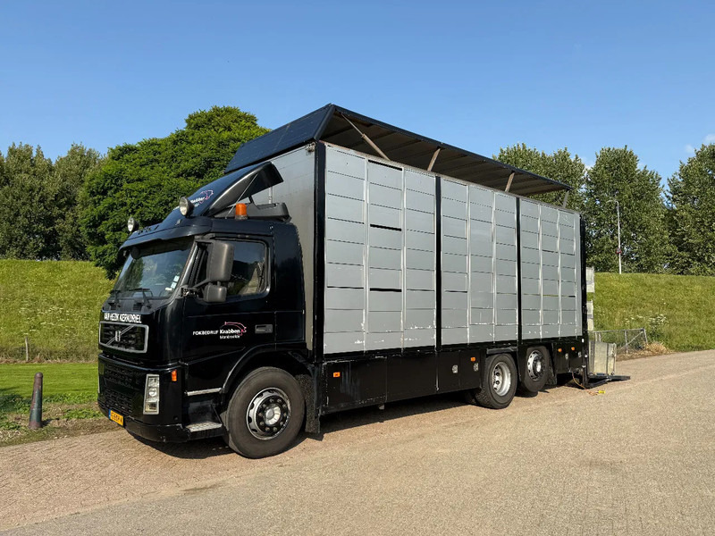 Volvo FM 300 Livestock Cuppers 3 laags 6x2 - Přepravník zvířat: obrázok 1 Volvo FM 300 Livestock Cuppers 3 laags 6x2 - Přepravník zvířat: obrázok 1