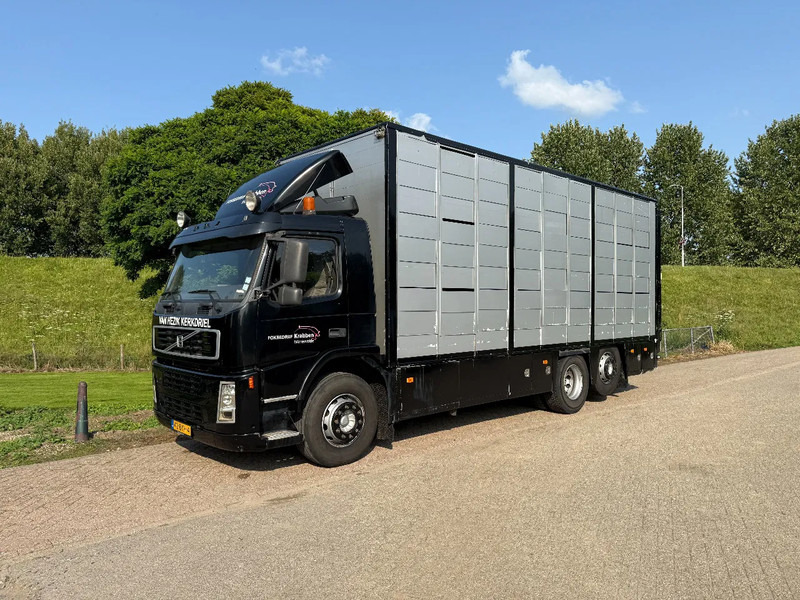 Volvo FM 300 Livestock Cuppers 3 laags 6x2 - Přepravník zvířat: obrázok 3 Volvo FM 300 Livestock Cuppers 3 laags 6x2 - Přepravník zvířat: obrázok 3