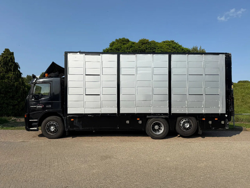 Volvo FM 300 Livestock Cuppers 3 laags 6x2 - Přepravník zvířat: obrázok 4 Volvo FM 300 Livestock Cuppers 3 laags 6x2 - Přepravník zvířat: obrázok 4