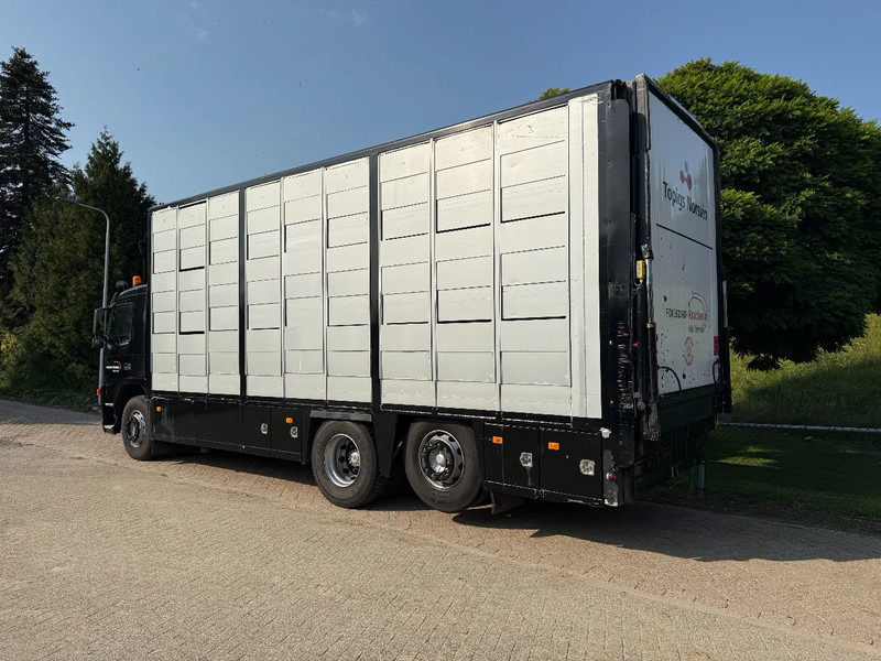 Volvo FM 300 Livestock Cuppers 3 laags 6x2 - Přepravník zvířat: obrázok 5 Volvo FM 300 Livestock Cuppers 3 laags 6x2 - Přepravník zvířat: obrázok 5
