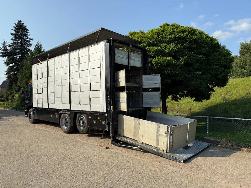 Volvo FM 300 Livestock Cuppers 3 laags 6x2 - Přepravník zvířat: obrázok 2 Volvo FM 300 Livestock Cuppers 3 laags 6x2 - Přepravník zvířat: obrázok 2