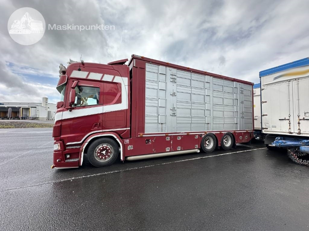 Scania R 580 Ekipage - Přepravník zvířat: obrázok 1 Scania R 580 Ekipage - Přepravník zvířat: obrázok 1