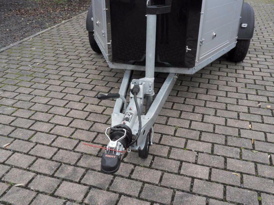 Príves na prepravu koní Böckmann Pferdeanhänger Champion R, Western, Alu, 100 km/h: obrázok 9