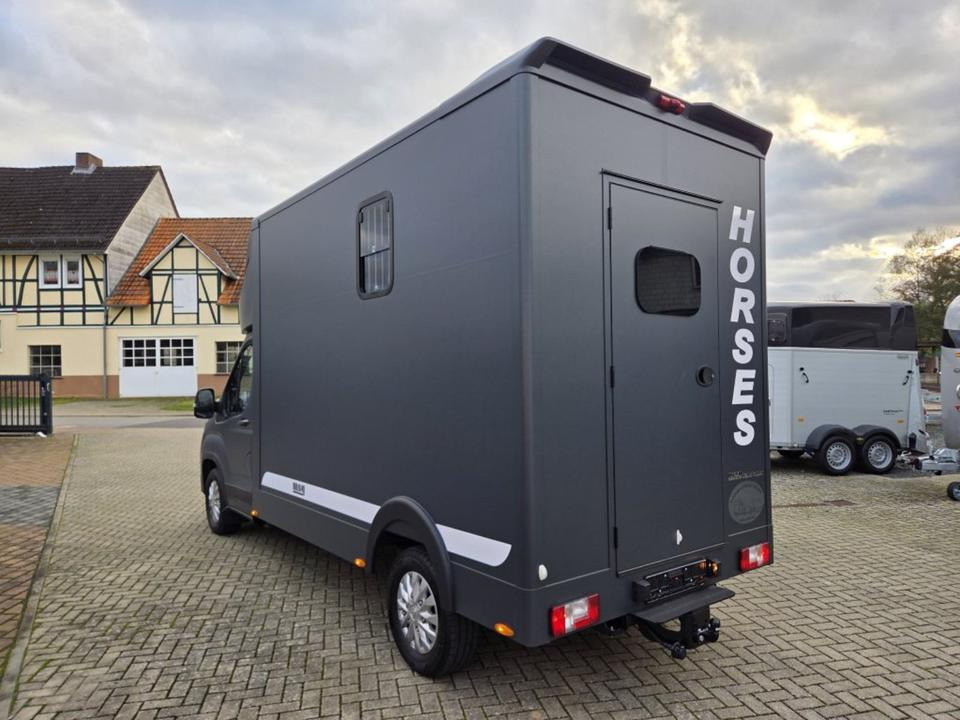 MSG Stablehopper Pferdetransporter Pferdeanhänger Böckmann - Nákladné auto na prepravu koní: obrázok 4 MSG Stablehopper Pferdetransporter Pferdeanhänger Böckmann - Nákladné auto na prepravu koní: obrázok 4