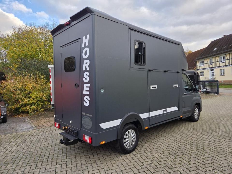 MSG Stablehopper Pferdetransporter Pferdeanhänger Böckmann - Nákladné auto na prepravu koní: obrázok 3 MSG Stablehopper Pferdetransporter Pferdeanhänger Böckmann - Nákladné auto na prepravu koní: obrázok 3