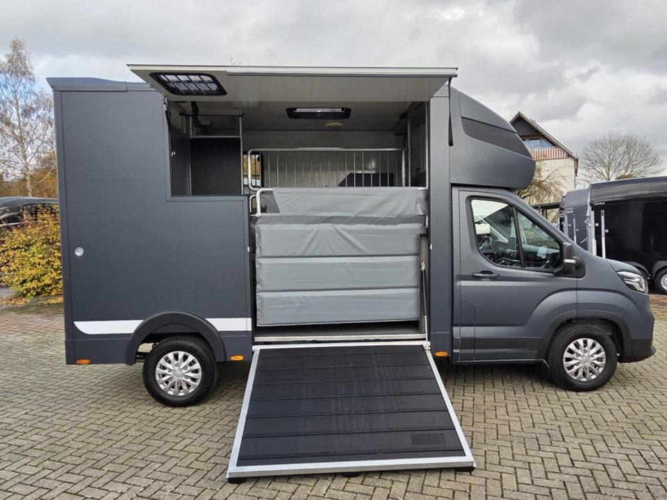 MSG Stablehopper Pferdetransporter Pferdeanhänger Böckmann - Nákladné auto na prepravu koní: obrázok 3 MSG Stablehopper Pferdetransporter Pferdeanhänger Böckmann - Nákladné auto na prepravu koní: obrázok 3