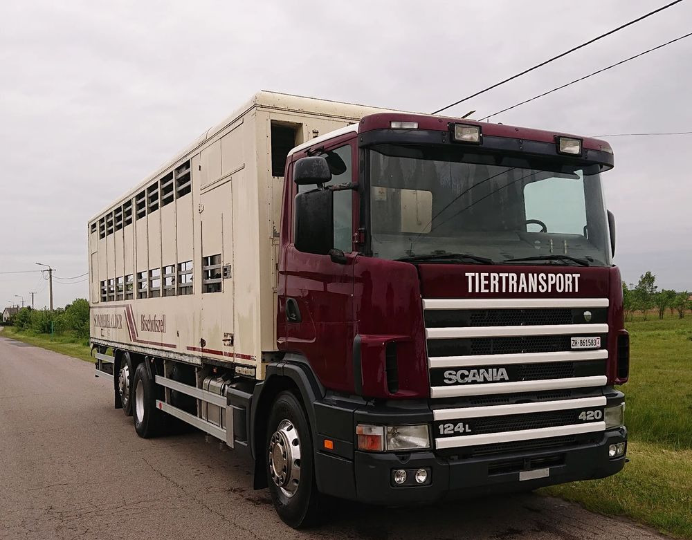 Scania 124 420 Do żywca - Přepravník zvířat: obrázok 3 Scania 124 420 Do żywca - Přepravník zvířat: obrázok 3