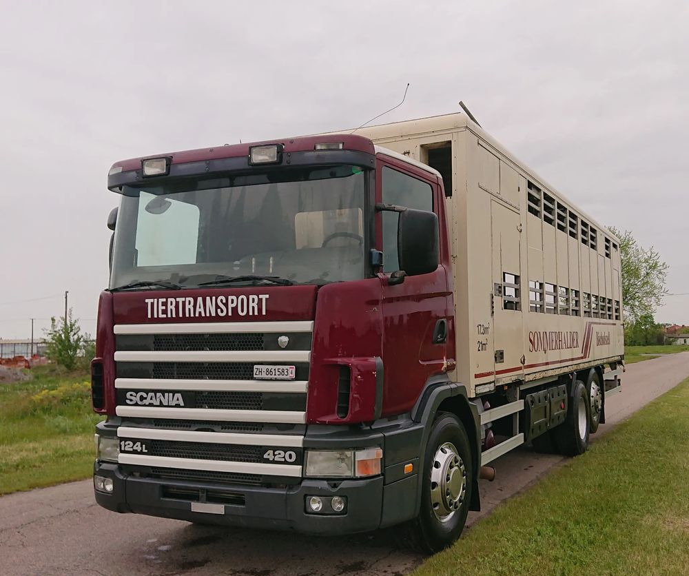Scania 124 420 Do żywca - Přepravník zvířat: obrázok 4 Scania 124 420 Do żywca - Přepravník zvířat: obrázok 4