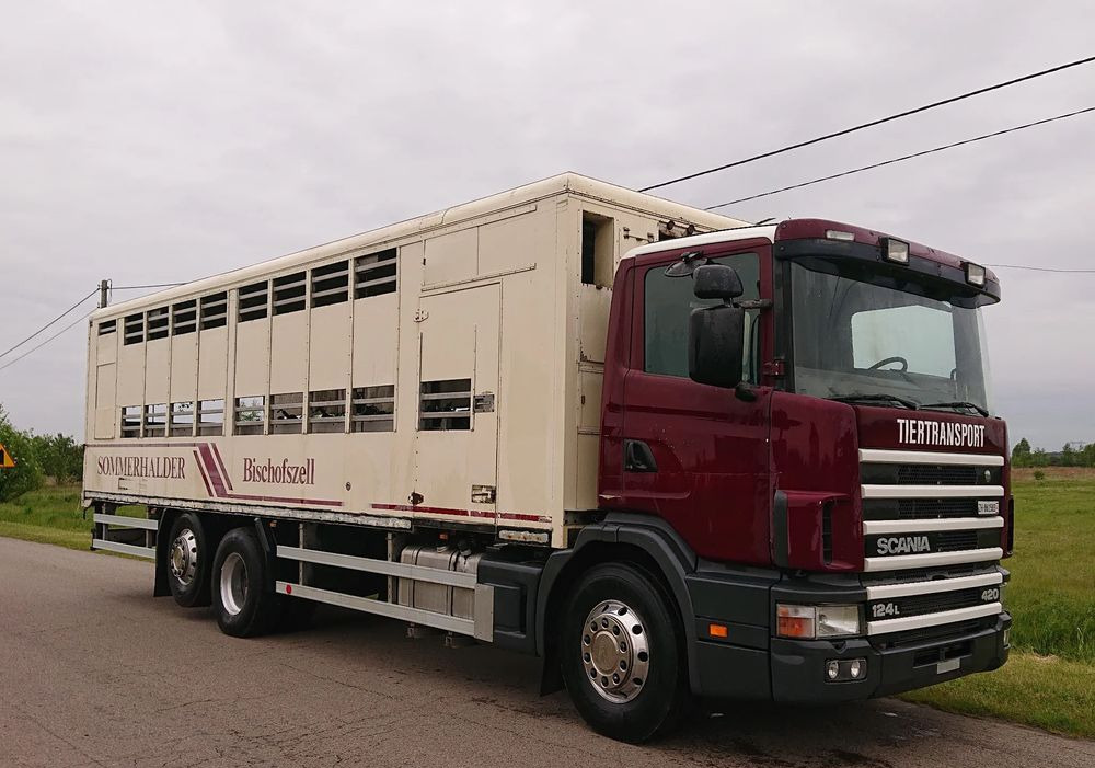 Scania 124 420 Do żywca - Přepravník zvířat: obrázok 2 Scania 124 420 Do żywca - Přepravník zvířat: obrázok 2