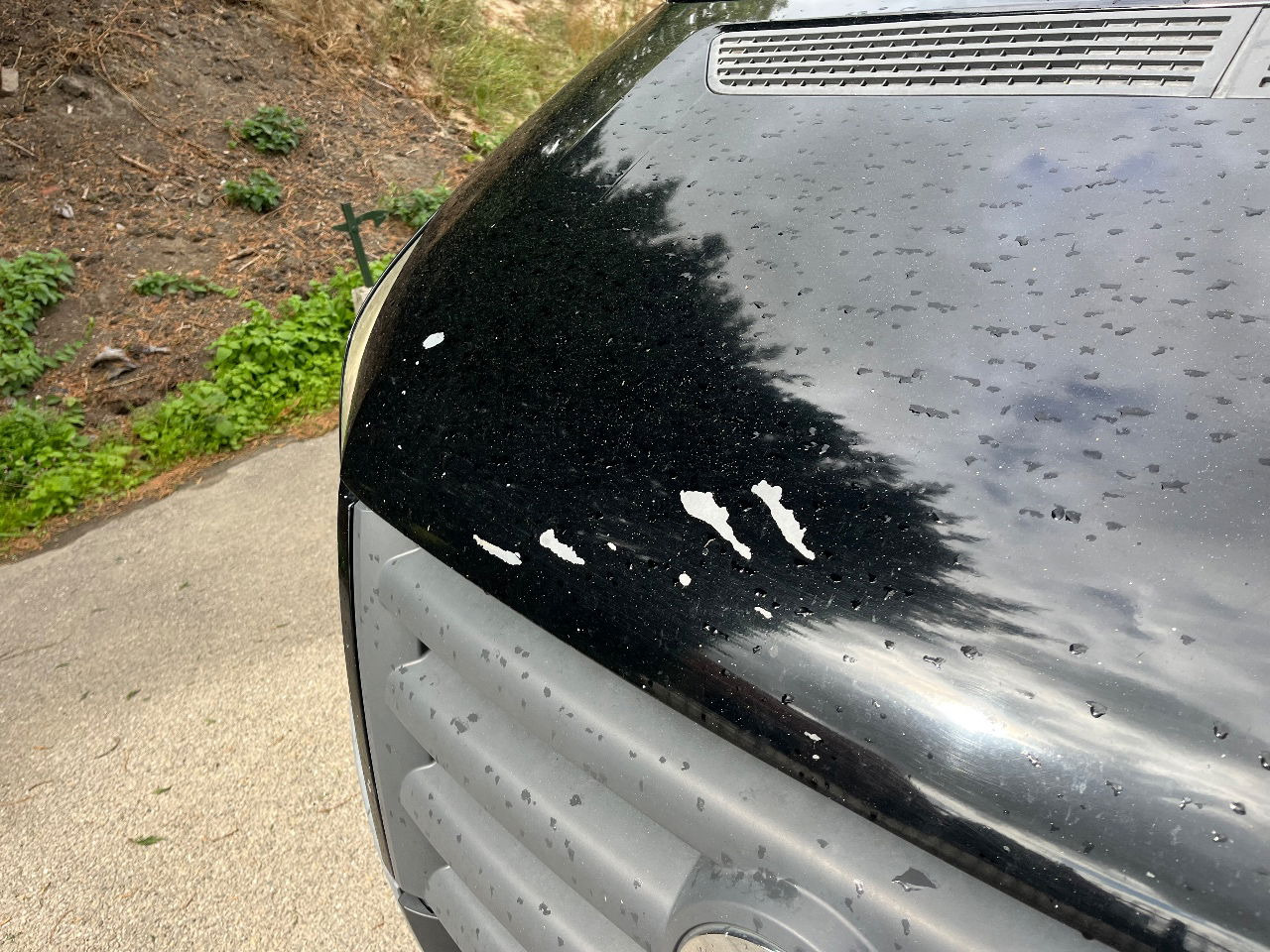 Volkswagen Crafter - Furgon: obrázok 5 Volkswagen Crafter - Furgon: obrázok 5