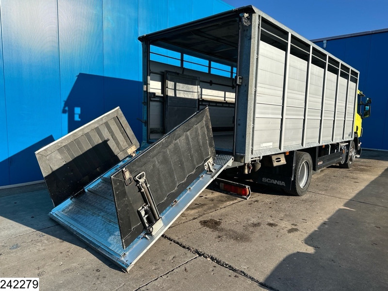 Scania P 320 EURO 5, Manual transmission, Retarder - Přepravník zvířat: obrázok 4 Scania P 320 EURO 5, Manual transmission, Retarder - Přepravník zvířat: obrázok 4