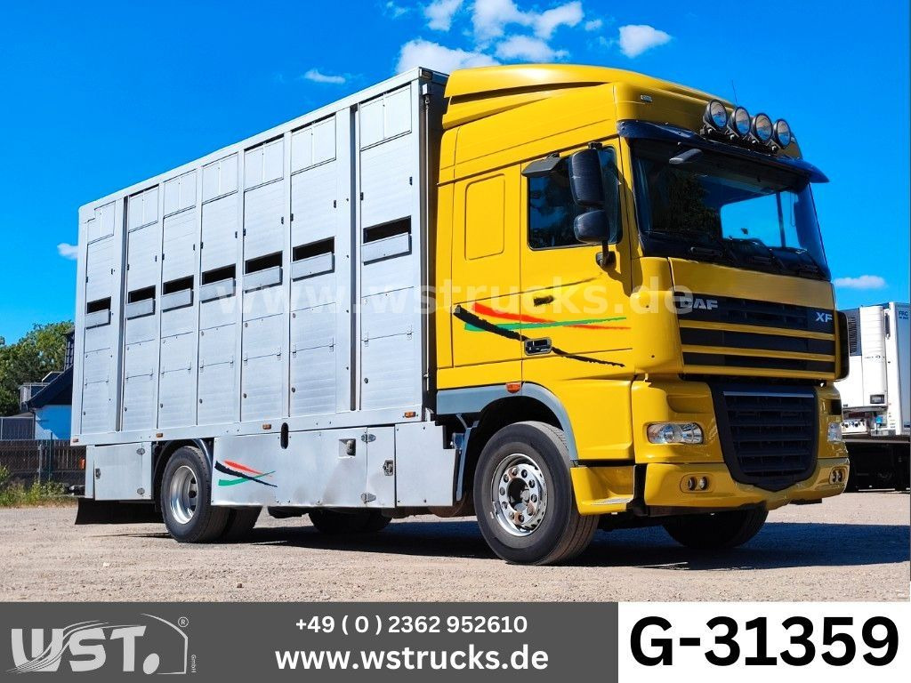 DAF XF 410 SC Menke Doppelstock - Nákladné auto na prepravu koní: obrázok 1 DAF XF 410 SC Menke Doppelstock - Nákladné auto na prepravu koní: obrázok 1
