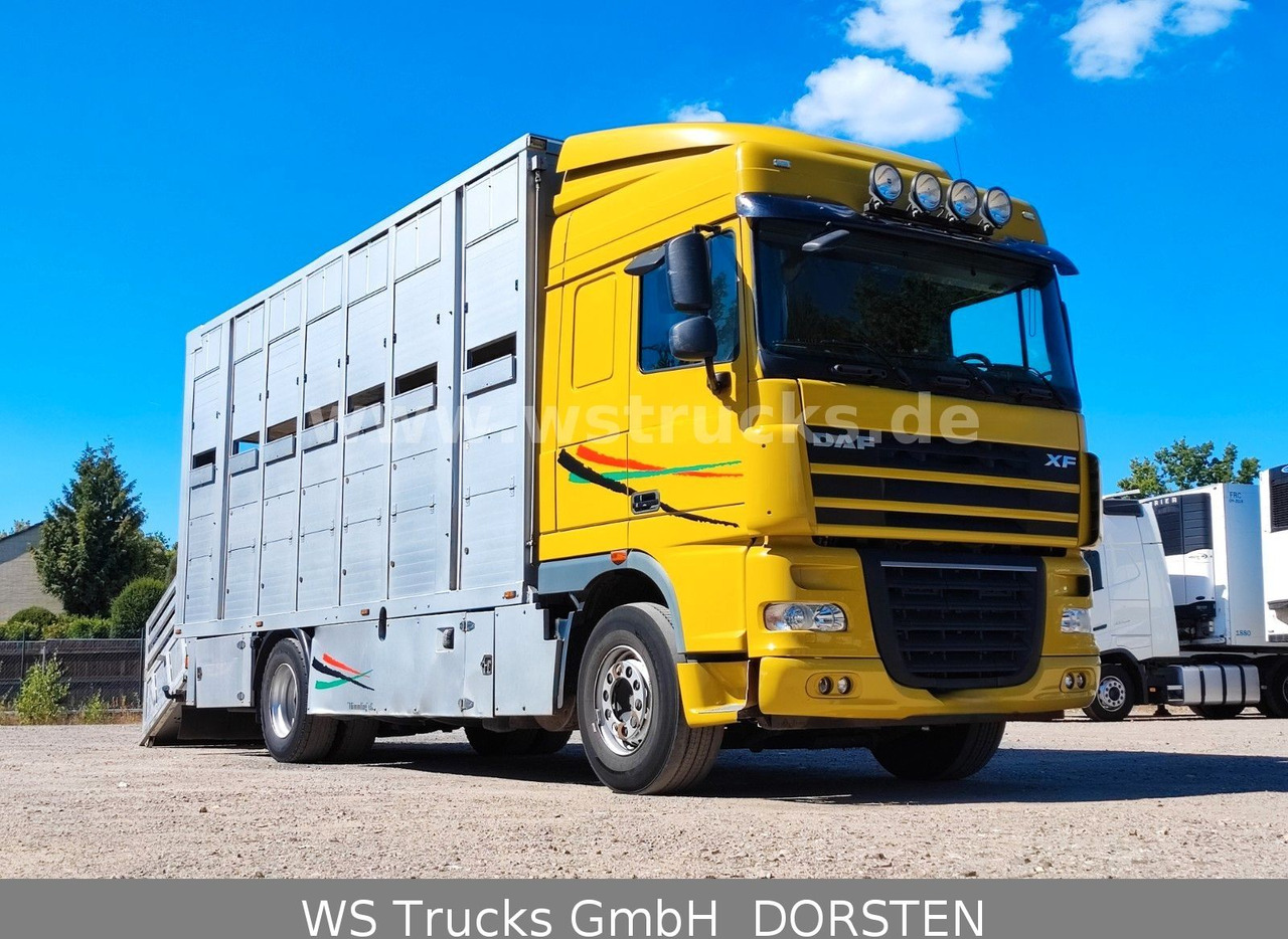 DAF XF 410 SC Menke Doppelstock - Nákladné auto na prepravu koní: obrázok 4 DAF XF 410 SC Menke Doppelstock - Nákladné auto na prepravu koní: obrázok 4