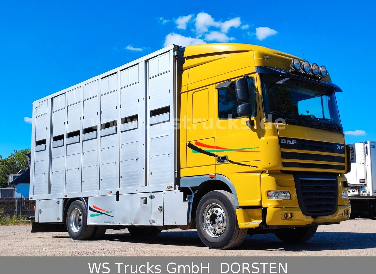 DAF XF 410 SC Menke Doppelstock - Nákladné auto na prepravu koní: obrázok 2 DAF XF 410 SC Menke Doppelstock - Nákladné auto na prepravu koní: obrázok 2