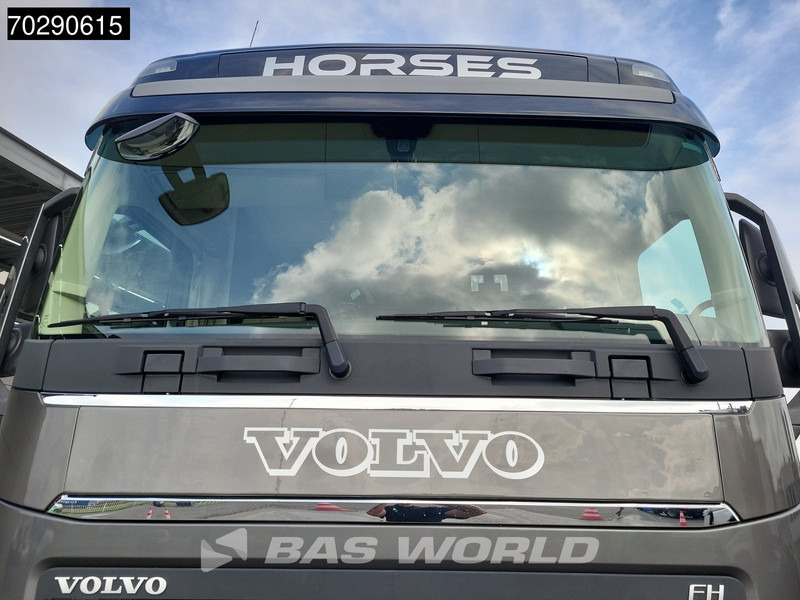 Nákladné auto na prepravu koní Volvo FH 420 FH 4X2 NL-Truck STX Horse truck + Living 4 Horses Navi ACC Euro 6: obrázok 13 Nákladné auto na prepravu koní Volvo FH 420 FH 4X2 NL-Truck STX Horse truck + Living 4 Horses Navi ACC Euro 6: obrázok 13