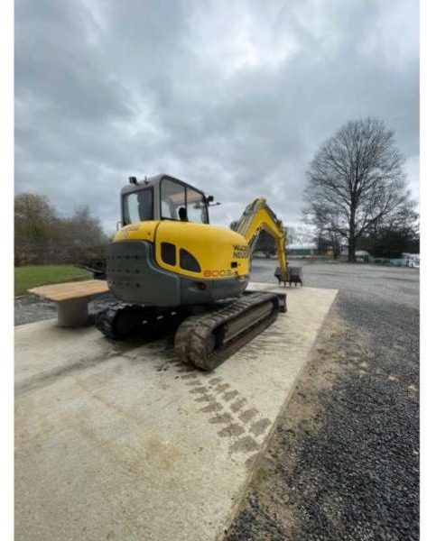 Wacker Neuson 8003 - Pásové rýpadlo: obrázok 1 Wacker Neuson 8003 - Pásové rýpadlo: obrázok 1