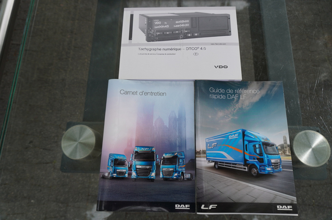 Leasing DAF LF 290 / 21 EPAL box / 2021 DAF LF 290 / 21 EPAL box / 2021: obrázok 30