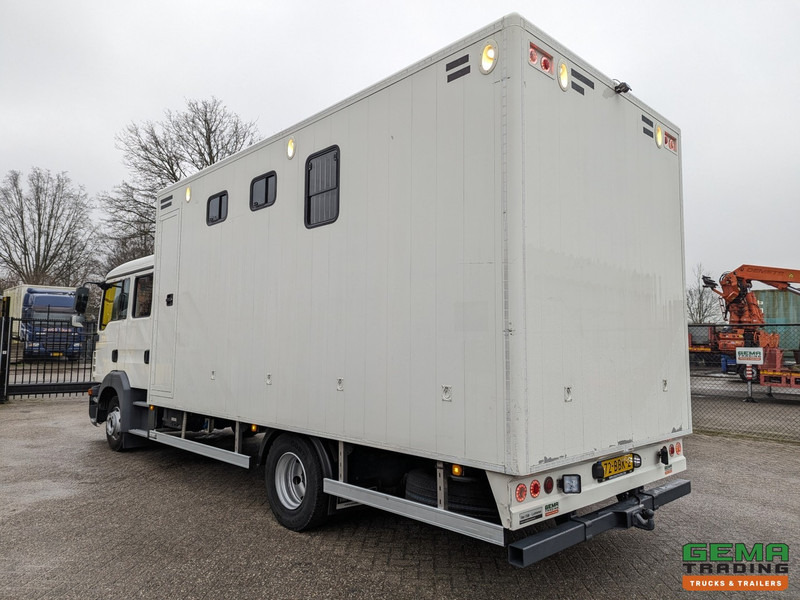 MAN TGL 12.180 4x2 DoKa 7 pers. Euro5 EEV - Paardenwagen 2-Paards - 147.000km! - MARGE - Nákladné auto na prepravu koní: obrázok 4 MAN TGL 12.180 4x2 DoKa 7 pers. Euro5 EEV - Paardenwagen 2-Paards - 147.000km! - MARGE - Nákladné auto na prepravu koní: obrázok 4
