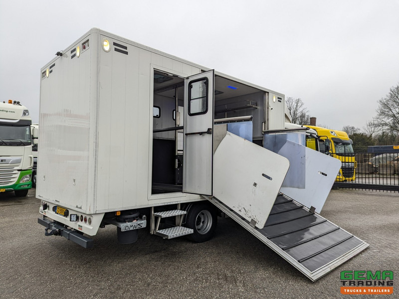 MAN TGL 12.180 4x2 DoKa 7 pers. Euro5 EEV - Paardenwagen 2-Paards - 147.000km! - MARGE - Nákladné auto na prepravu koní: obrázok 2 MAN TGL 12.180 4x2 DoKa 7 pers. Euro5 EEV - Paardenwagen 2-Paards - 147.000km! - MARGE - Nákladné auto na prepravu koní: obrázok 2