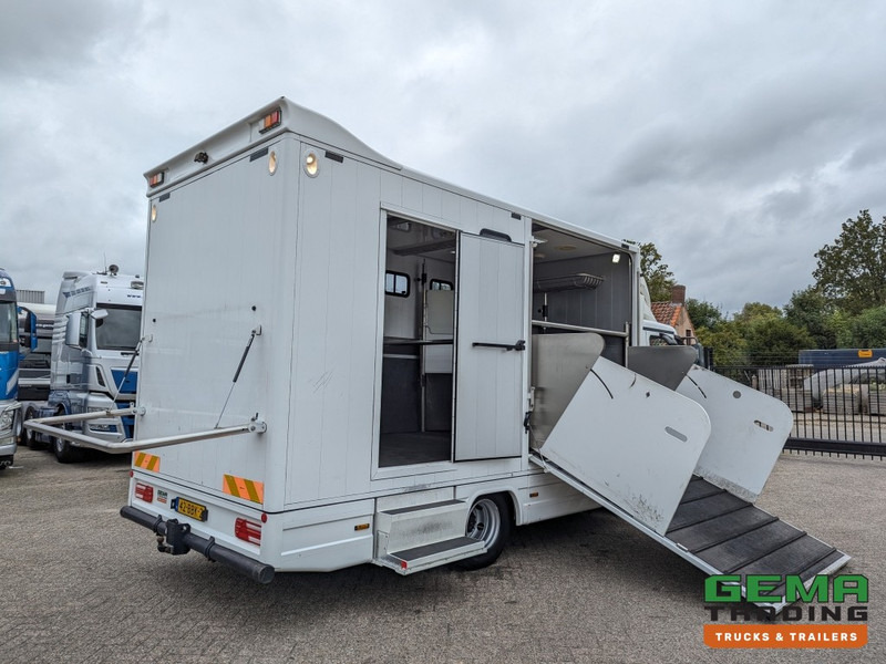 MAN TGL 12.250 4x2 Euro5 EEV RC HorseTruck - 2a3 Paards - 135.000km - MARGE (V821) - Nákladné auto na prepravu koní: obrázok 1 MAN TGL 12.250 4x2 Euro5 EEV RC HorseTruck - 2a3 Paards - 135.000km - MARGE (V821) - Nákladné auto na prepravu koní: obrázok 1
