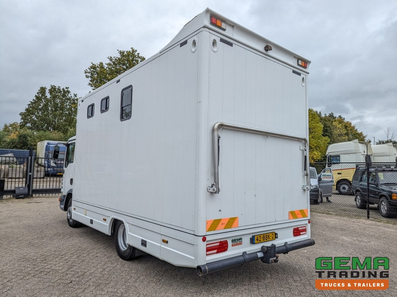 MAN TGL 12.250 4x2 Euro5 EEV RC HorseTruck - 2a3 Paards - 135.000km - MARGE (V821) - Nákladné auto na prepravu koní: obrázok 4 MAN TGL 12.250 4x2 Euro5 EEV RC HorseTruck - 2a3 Paards - 135.000km - MARGE (V821) - Nákladné auto na prepravu koní: obrázok 4