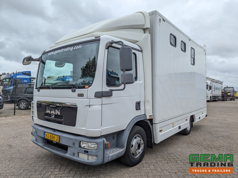 MAN TGL 12.250 4x2 Euro5 EEV RC HorseTruck - 2a3 Paards - 135.000km - MARGE (V821) - Nákladné auto na prepravu koní: obrázok 2 MAN TGL 12.250 4x2 Euro5 EEV RC HorseTruck - 2a3 Paards - 135.000km - MARGE (V821) - Nákladné auto na prepravu koní: obrázok 2
