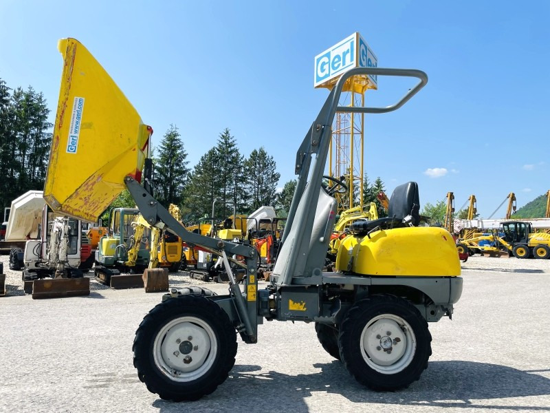 Neuson 1001 (3631) - Mini damper: obrázok 2 Neuson 1001 (3631) - Mini damper: obrázok 2