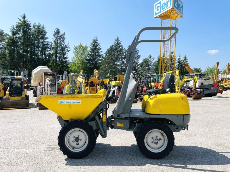 Neuson 1001 (3631) - Mini damper: obrázok 1 Neuson 1001 (3631) - Mini damper: obrázok 1